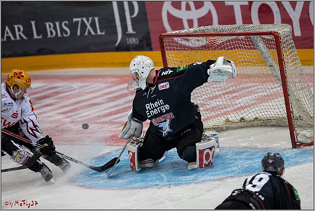 DEL, Koelner Haie - Fishtown Pinguins Bremerhaven, 29.01.2017